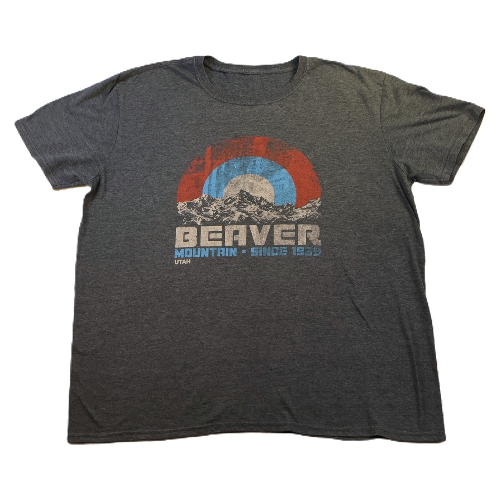 Unbranded Mens XL T-Shirt Charcoal Beaver Mountain Utah‎ Skiing Graphic Tee